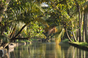 e kerala tourism review