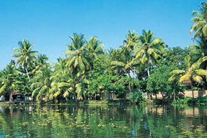 tour package of kerala