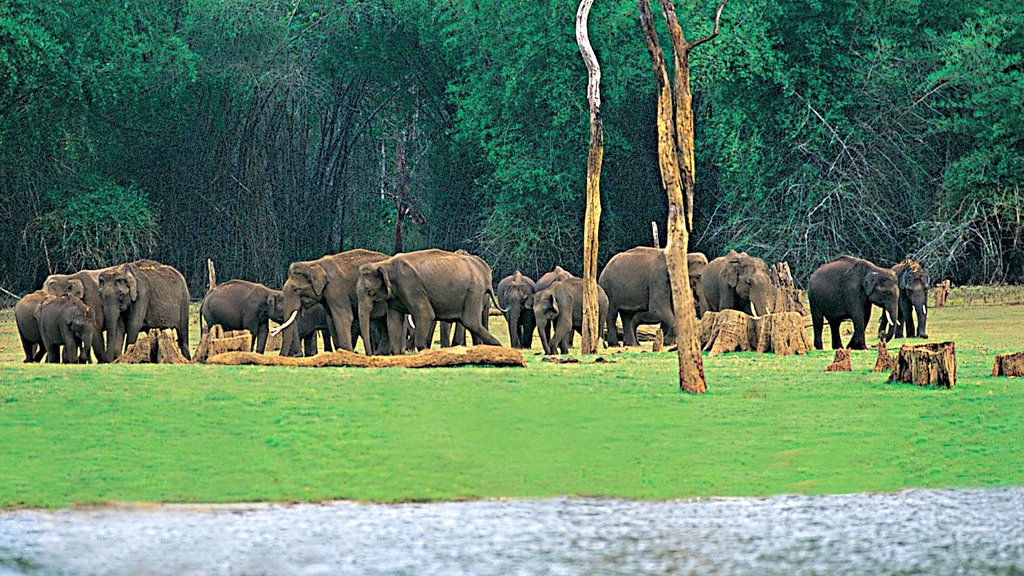Idukki-Wildlife-Sanctuary - Kerala Tourism