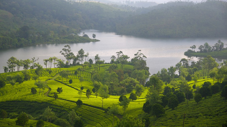 Best Detailed Tour Guide to Munnar - Kerala Tourism