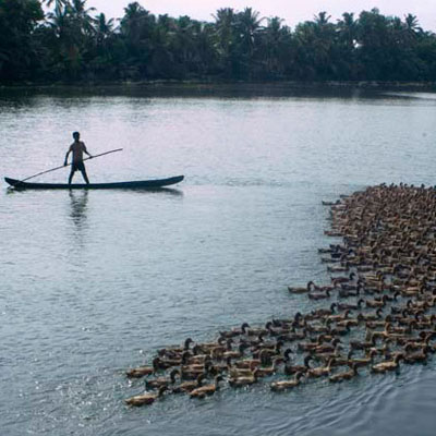 backwater tourist destination in kerala