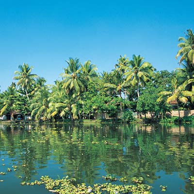 travels and tours kerala