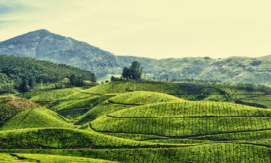 ponmudi tourist spot