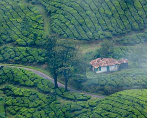 couple tour packages kerala