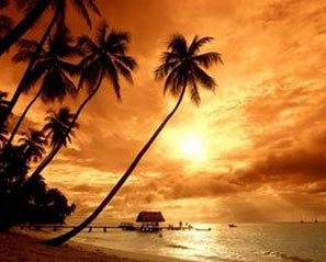 kerala trip couple package