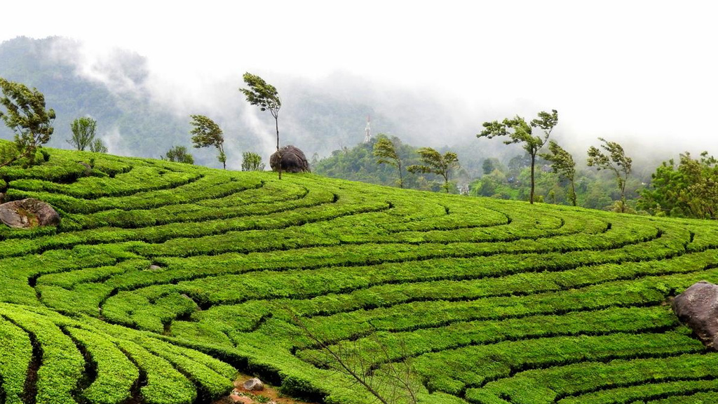 kerala monsoon places to visit