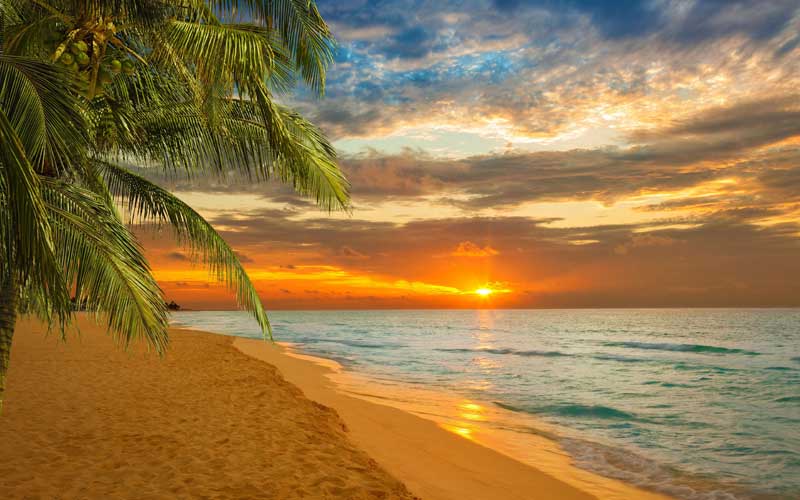 kovlam Kovalam For Honeymoon