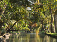 tour package to kerala