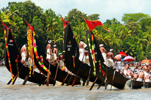 travels and tours kerala