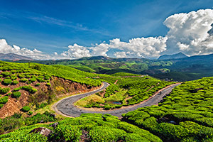 tour package to kerala