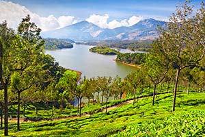 kerala trip package from nagpur