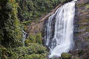 wayanad tour packages wayanad kerala