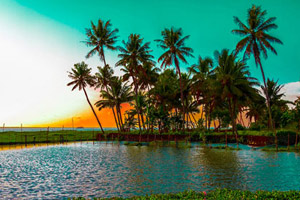 kerala tour packages from pune veena world