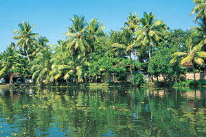 kerala trip package from nagpur