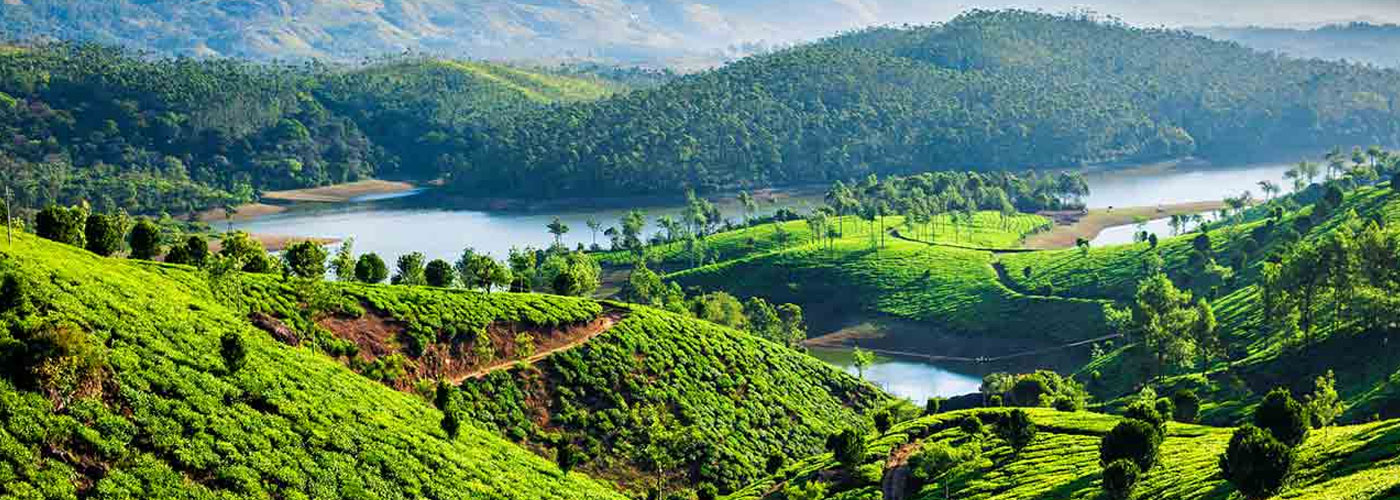 munnar-1