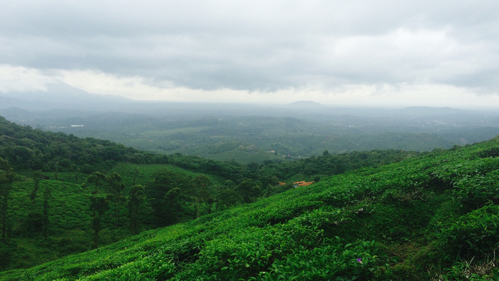 wayanad tour places