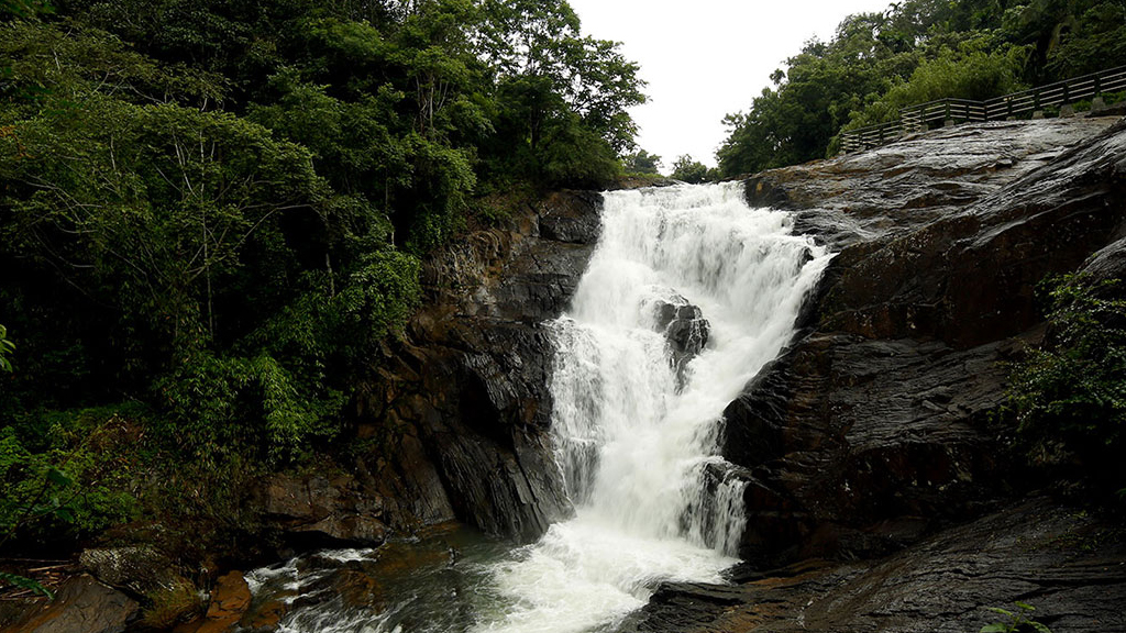 wayanad tour places