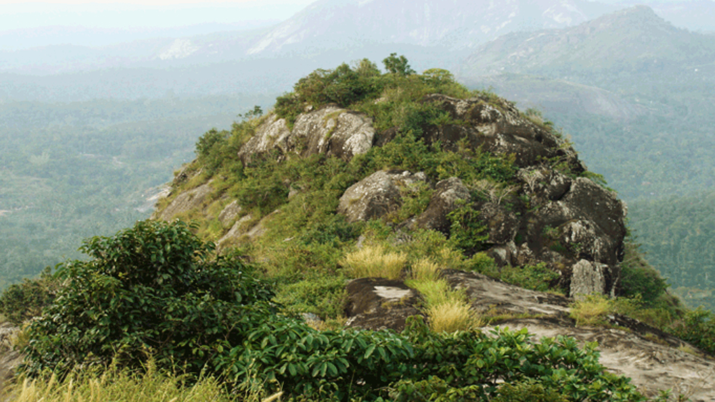 wayanad tour places