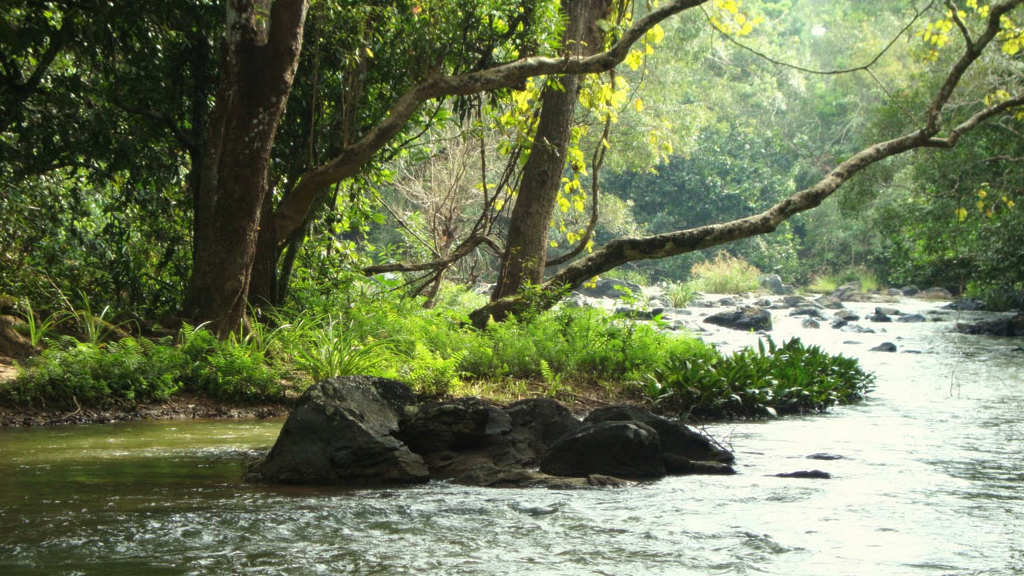 wayanad tour places