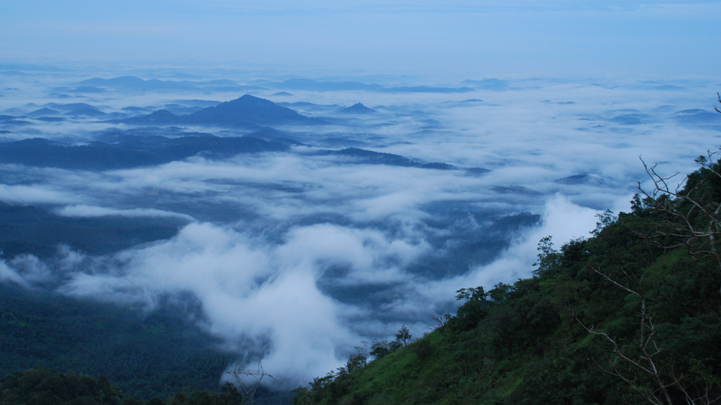 wayanad tour places