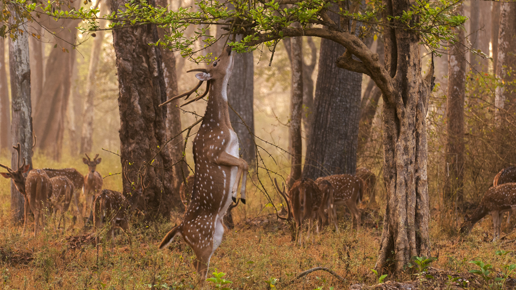 wayanad tour places