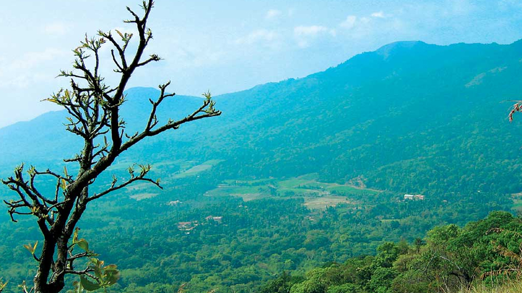 wayanad tour places