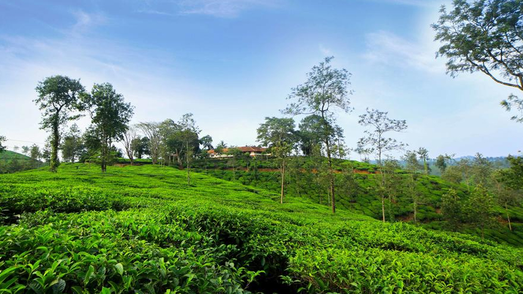 wayanad tour places