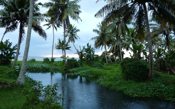 Kerala Honeymoon Packages