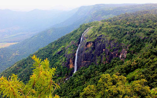 Thekkady For Honeymoon