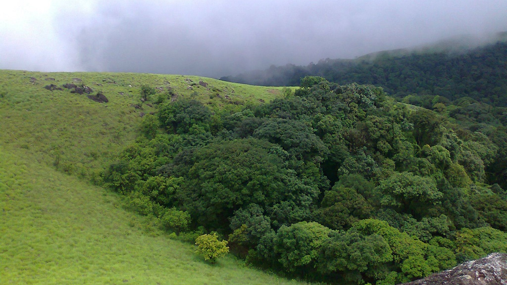 travel to kerala in august