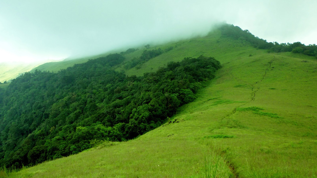 kerala tourist places in august