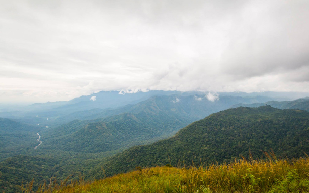 Thekkady For Honeymoon