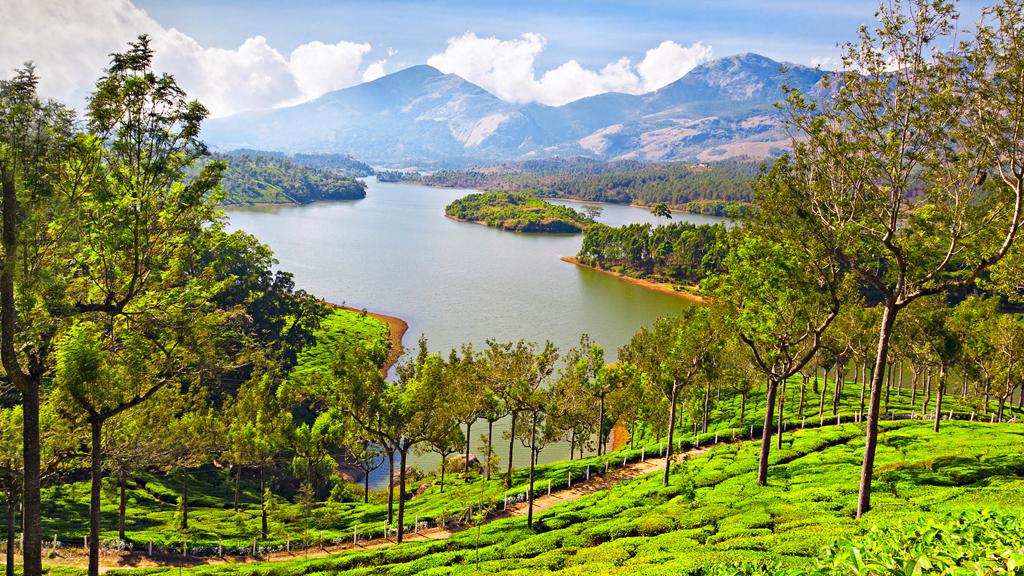 Places to see between kochi and munnar eth investing reddit