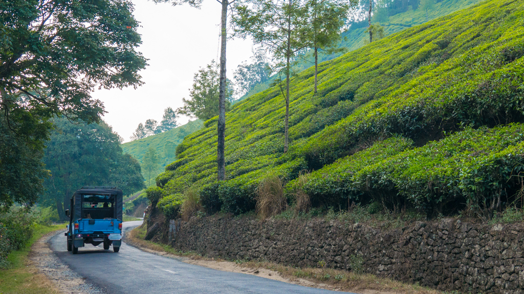 munnar trip experience essay