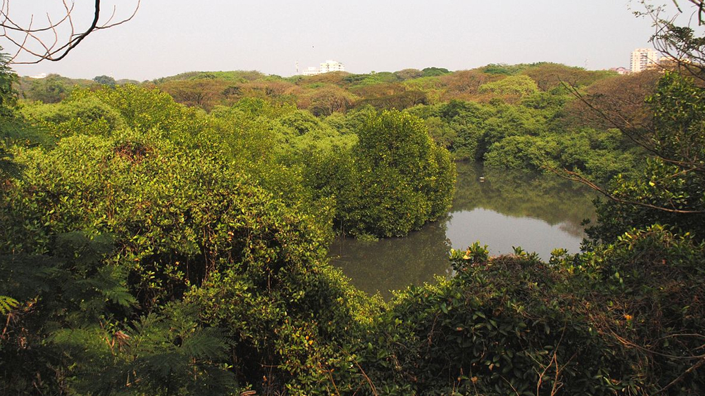 Mangalavanam Bird Sanctuary