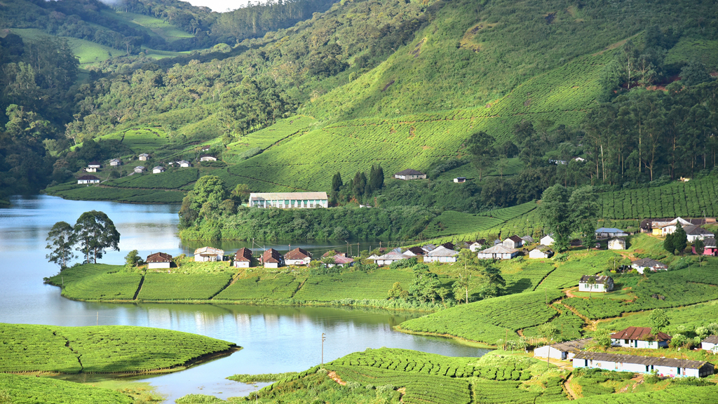 munnar trip experience essay