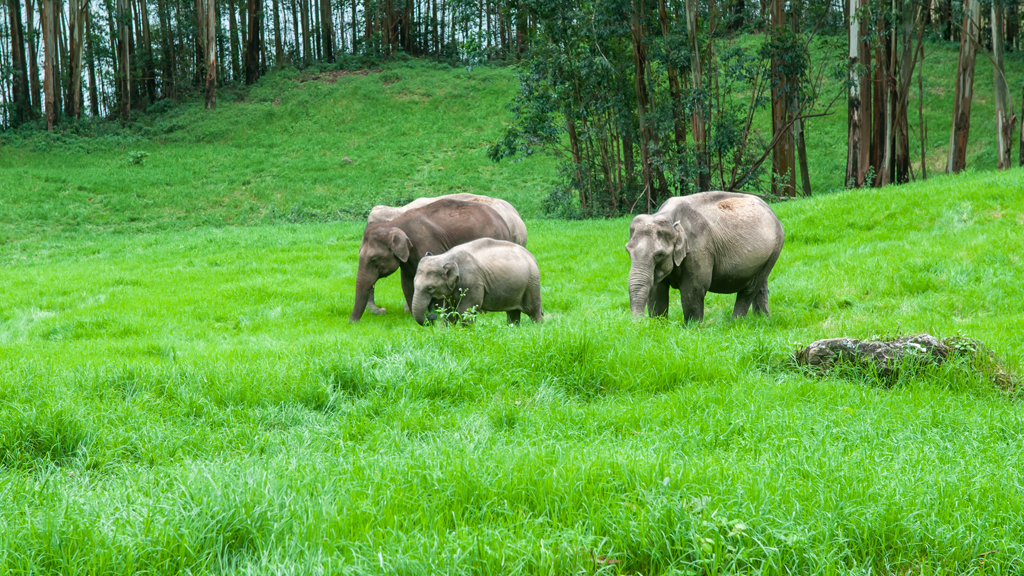 madurai to thekkady places to visit