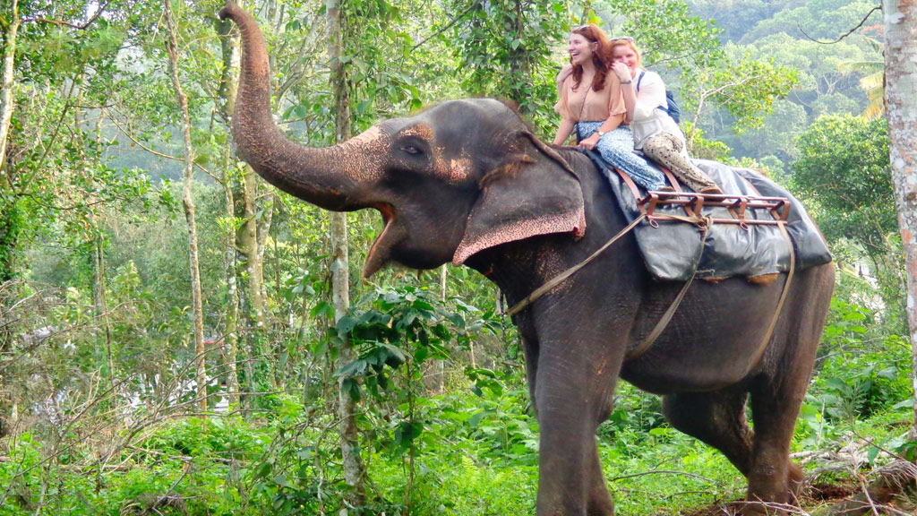 Best Cochin to Thekkady: The beautiful Journey - Kerala Tourism