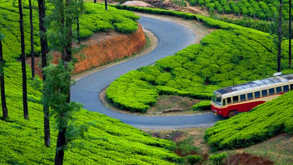 places to visit in munnar and alleppey