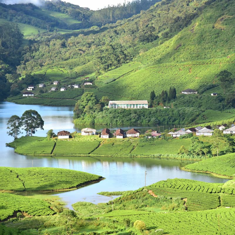 Kerala Honeymoon Packages